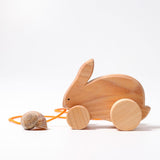 Pull Along Bobbing Rabbit