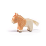Pony - Shetland Foal