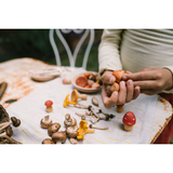 Wood Mushroom Grove