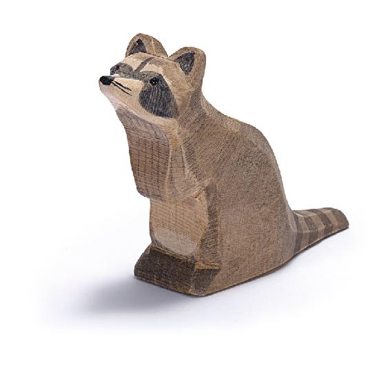 Raccoon sitting