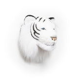 Head Large Tiger White, Albert