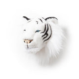 Head Large Tiger White, Albert