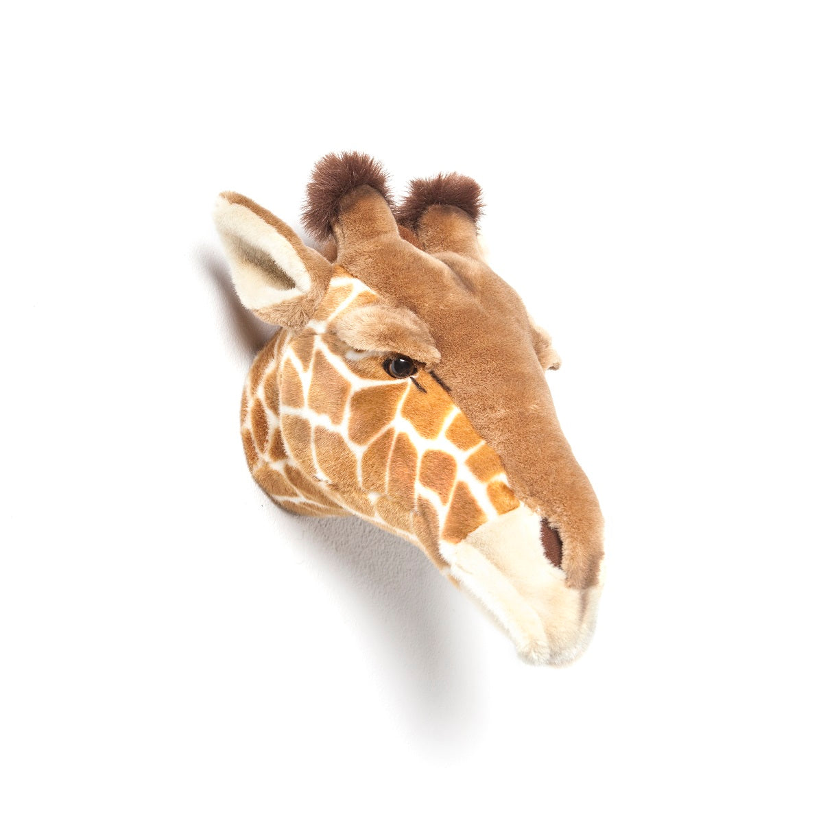 Head Large Giraffe, Ruby