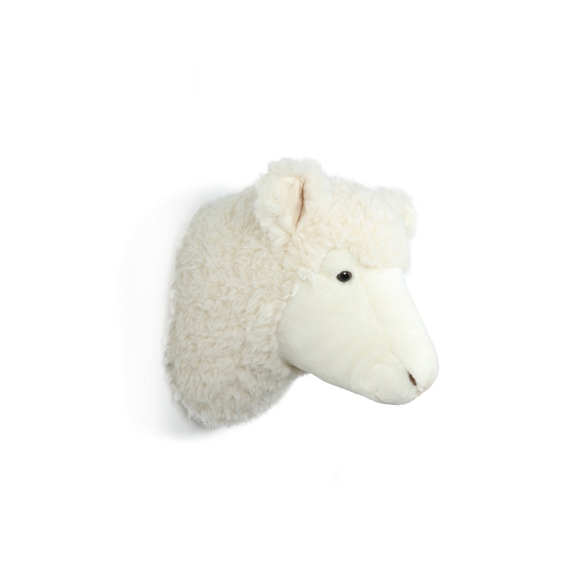 Head Large Sheep, Harry