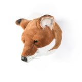 Head Large Fox, Louis