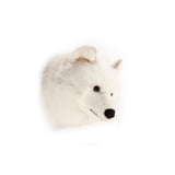 Head Medium White Wolf, Lucy