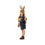 Disguise, Hare