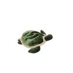 Backpack, Turtle