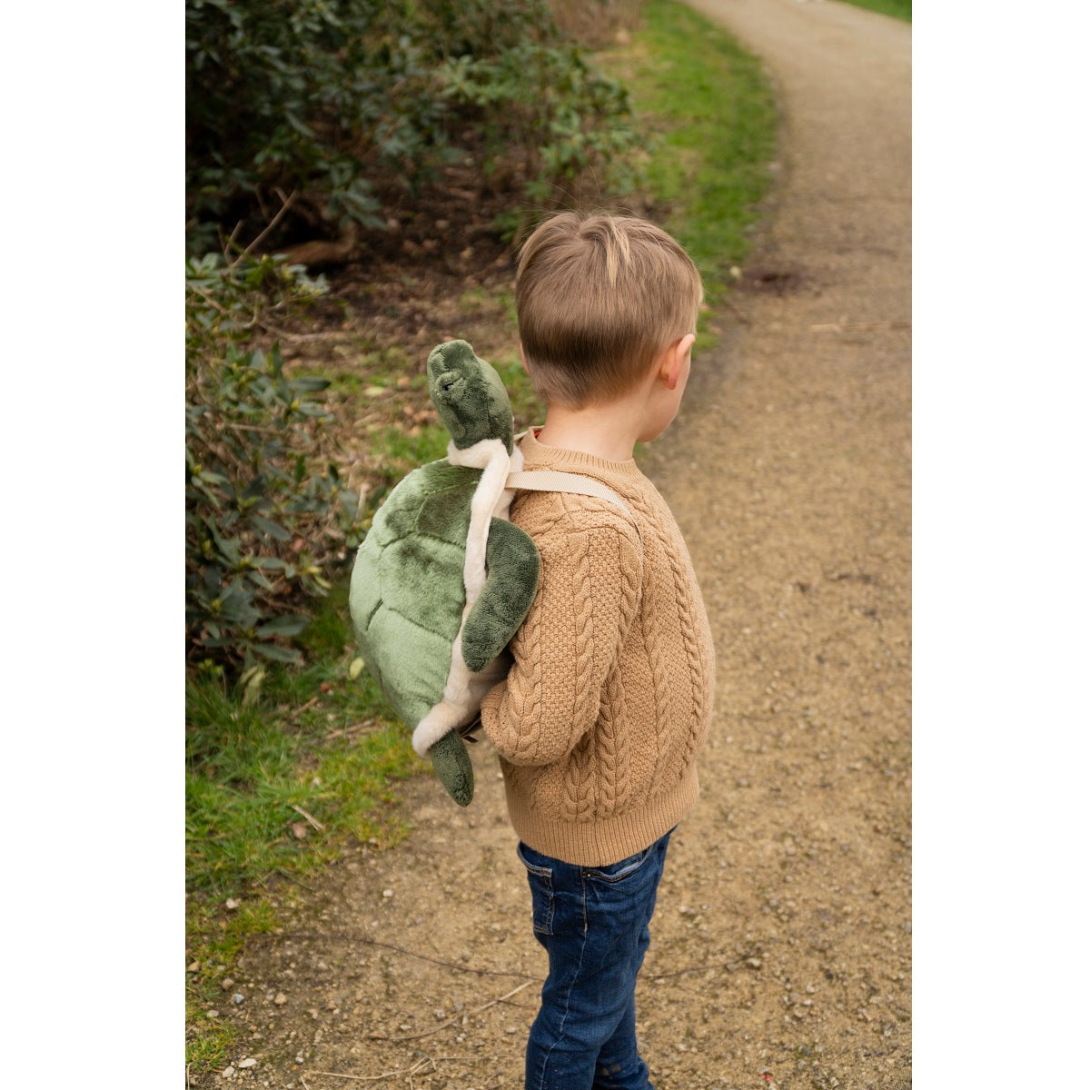 Backpack, Turtle
