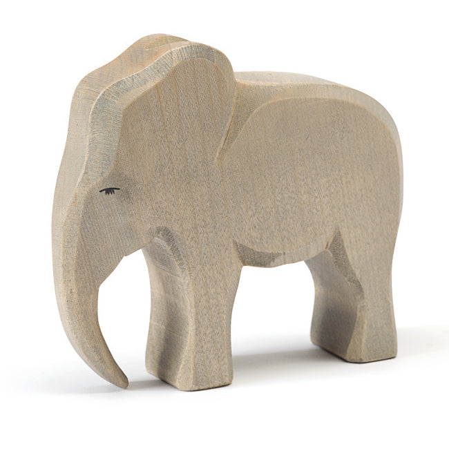 Elephant Bull - Ostheimer