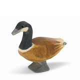 Canada Goose Standing