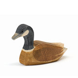 Canada Goose Swimming
