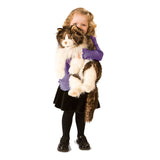 Ragdoll Cat