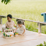 Build-a-Garden Blooming Greenhouse