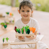 Build-a-Garden Blooming Greenhouse