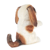 Mini Dog