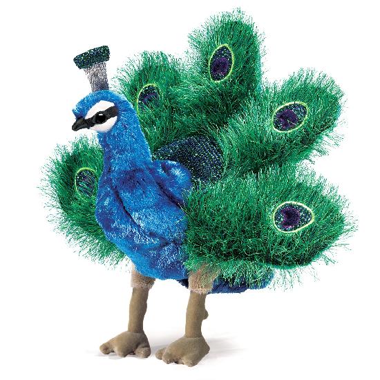 Small Peacock