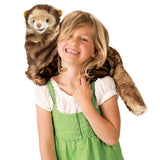 Ferret