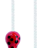 Skipping Rope Ladybird