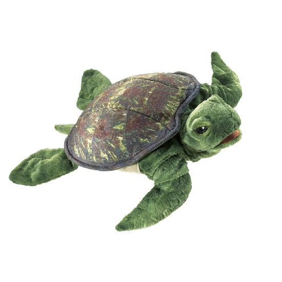 Sea Turtle