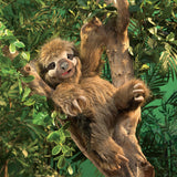 Three-toed Sloth