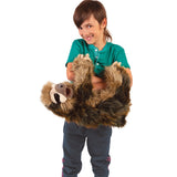 Three-toed Sloth