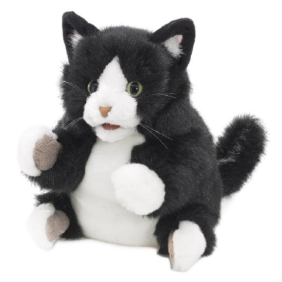 Tuxedo Kitten