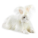 Angora Rabbit