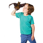 Fruit Bat