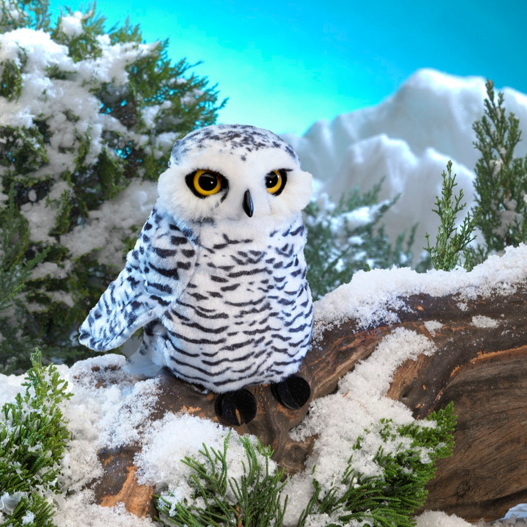 Small Snowy Owl