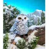 Small Snowy Owl