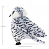 Small Snowy Owl