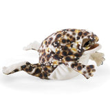 Desert Rain Frog