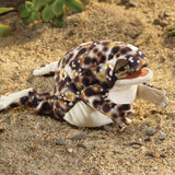 Desert Rain Frog