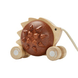 Pull-Along Hedgehog