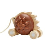 Pull-Along Hedgehog