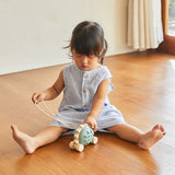 Pull-Along Hedgehog - Blue