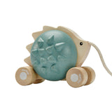 Pull-Along Hedgehog - Blue