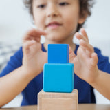 Nesting Boxes