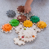 Gears and Puzzles