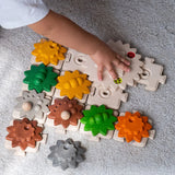 Gears and Puzzles