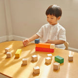Colored Counting Blocks - Unit Plus