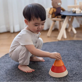 Cone Sorting - Unit Plus
