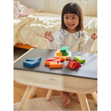 Fraction Blocks - Unit Plus