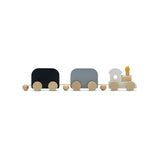 Celebration Train