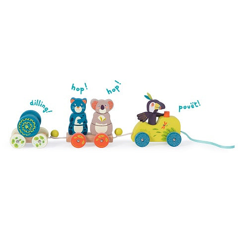 Dans la Jungle - Activity Train