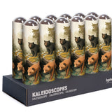 Kaleidoscope Canadian Bears Canada Nature