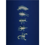 Petites Merveilles - Glow-in-the-Dark Insects