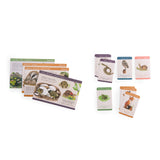 Le Jardinier - Discovery of Animals Box