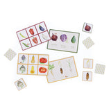 Le Jardinier - Vegetable Loto (bingo) & Memory Game